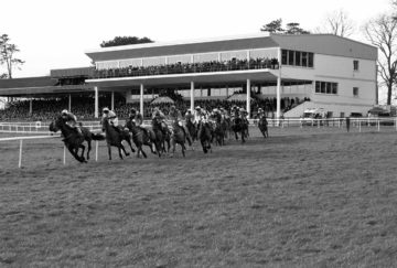 Gowran Park Stand